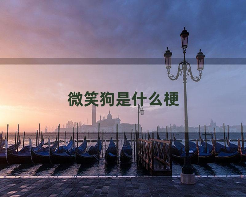 微笑狗是什么梗