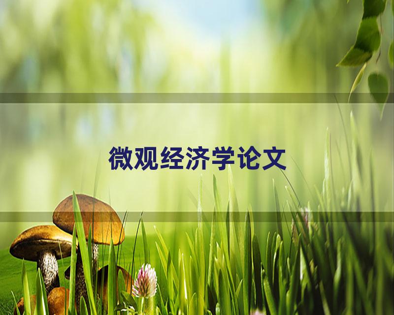 微观经济学论文