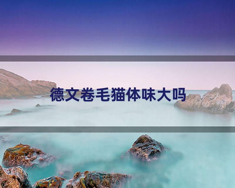 德文卷毛猫体味大吗