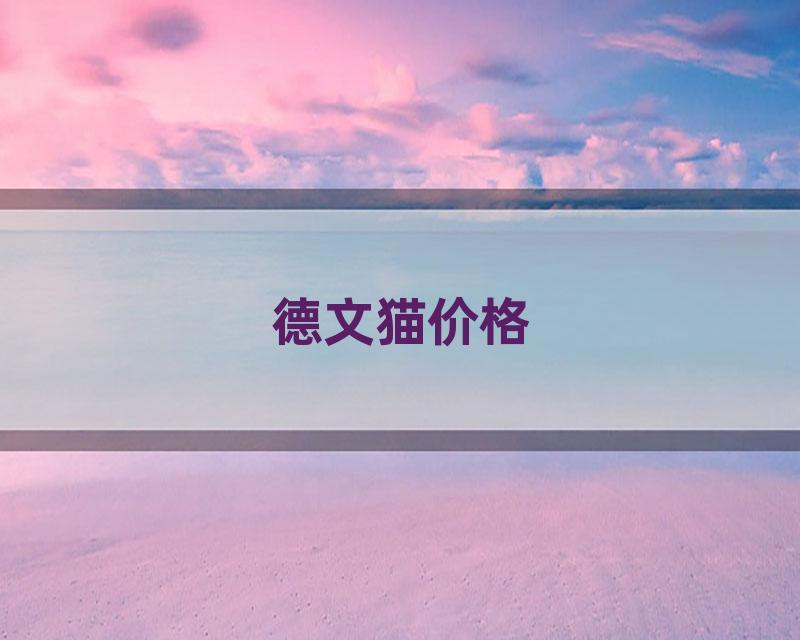 德文猫价格