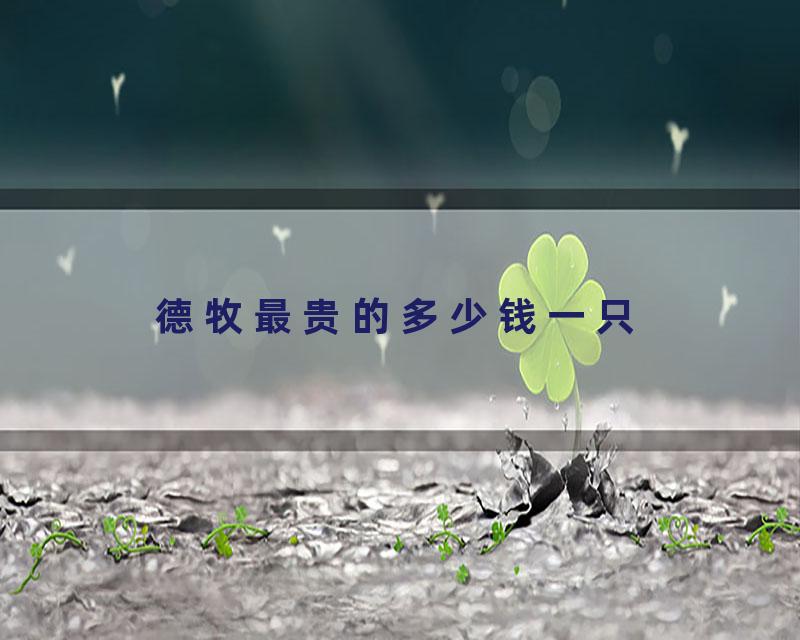 德牧最贵的多少钱一只