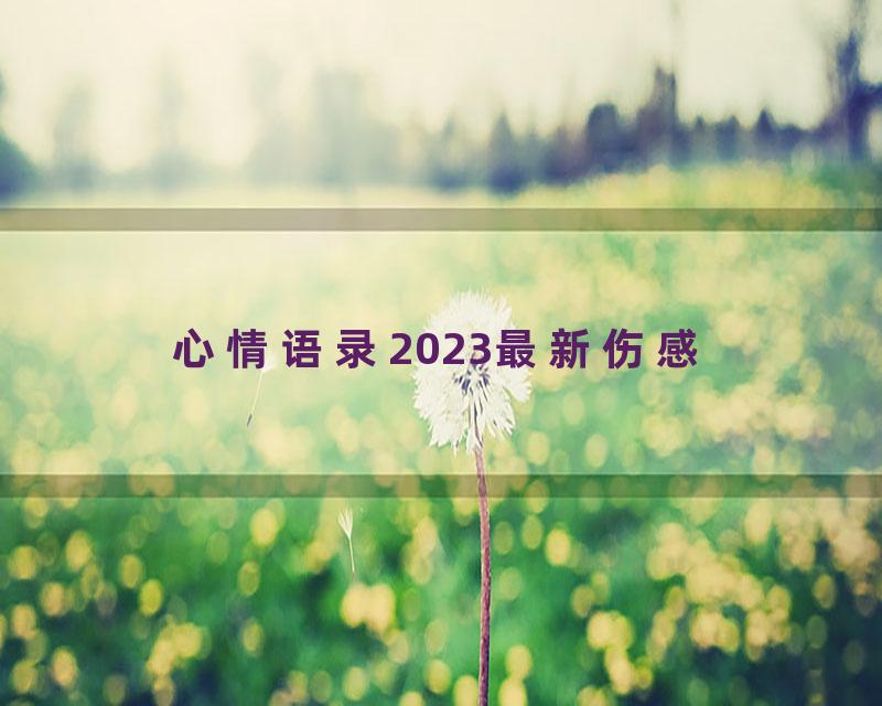 心情语录2023最新伤感