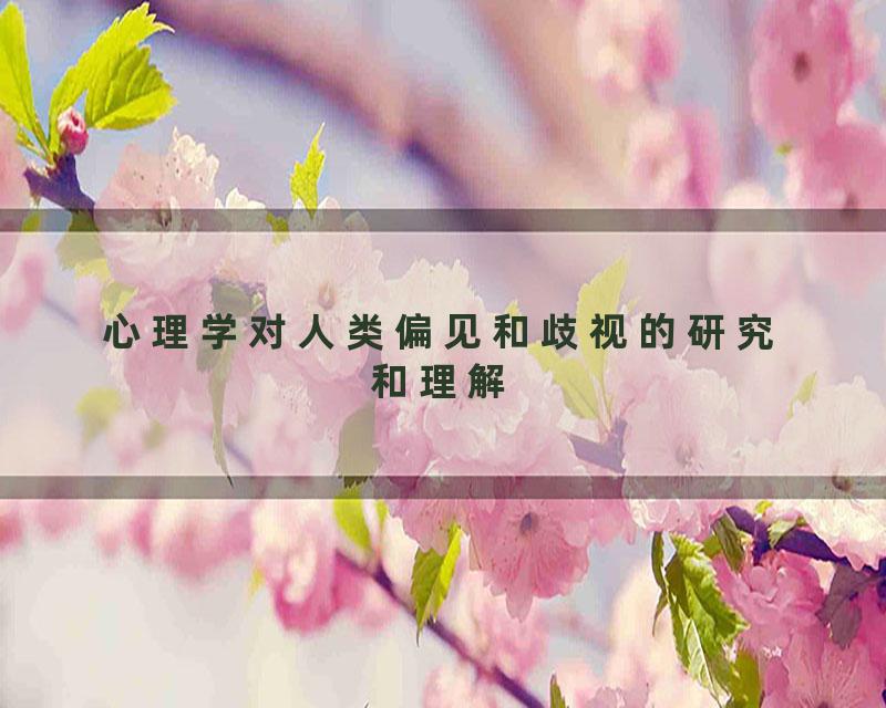 心理学对人类偏见和歧视的研究和理解