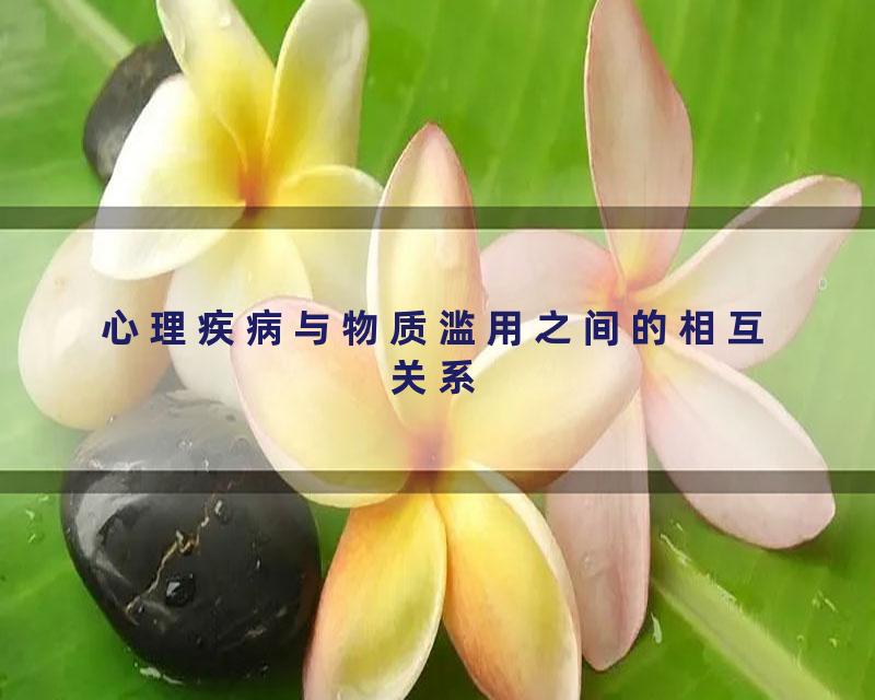 心理疾病与物质滥用之间的相互关系