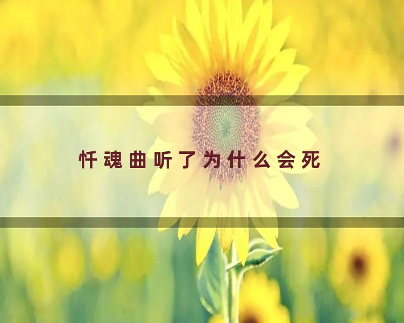忏魂曲听了为什么会死