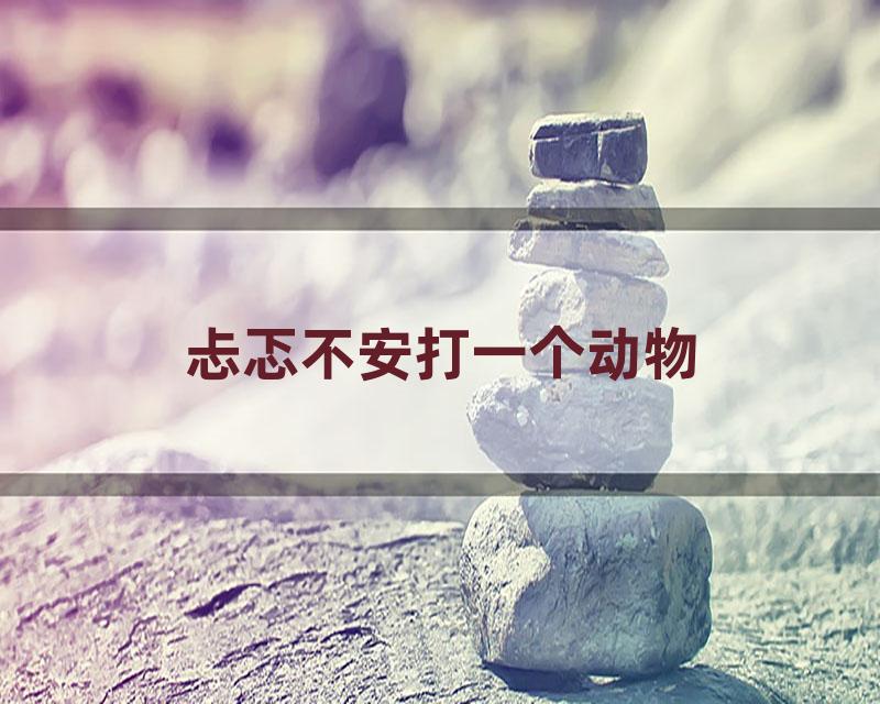 忐忑不安打一个动物