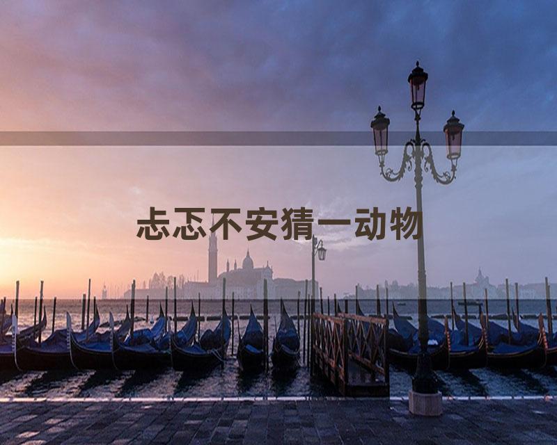 忐忑不安猜一动物