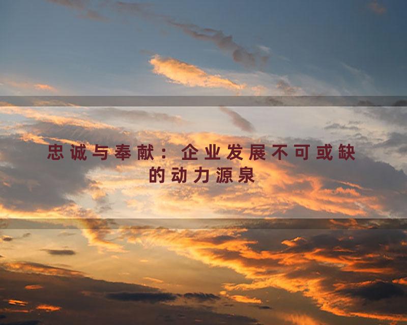 忠诚与奉献：企业发展不可或缺的动力源泉