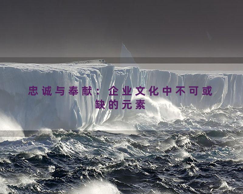 忠诚与奉献：企业文化中不可或缺的元素