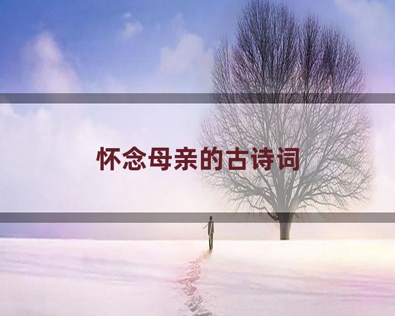 怀念母亲的古诗词