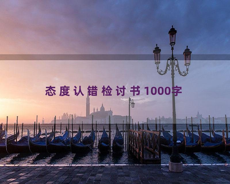 态度认错检讨书1000字