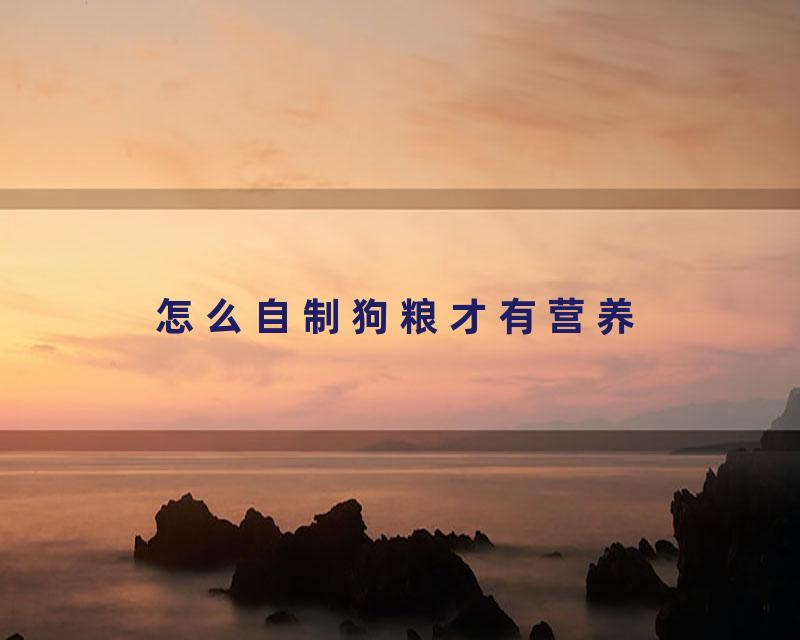 怎么自制狗粮才有营养