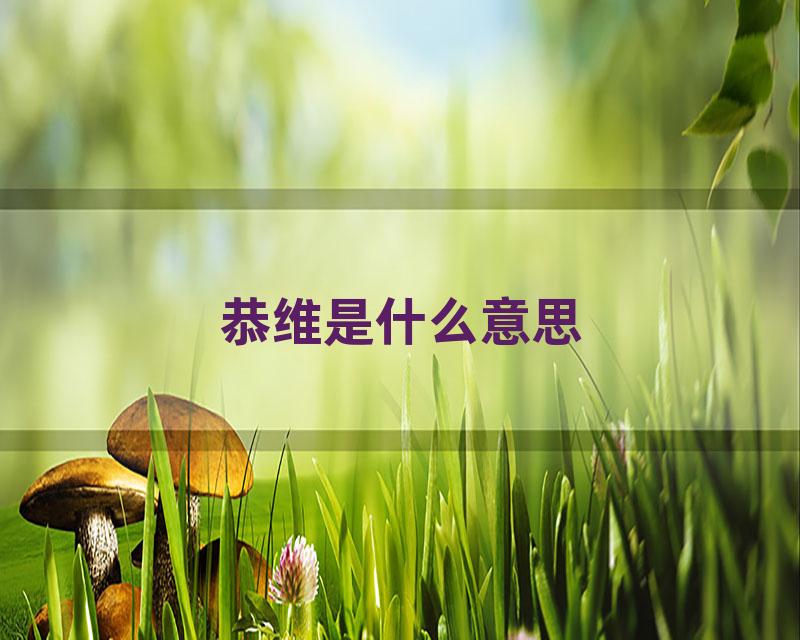 恭维是什么意思