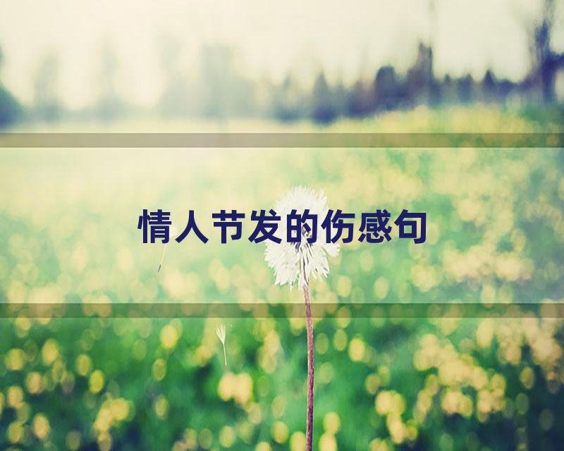 情人节发的伤感句