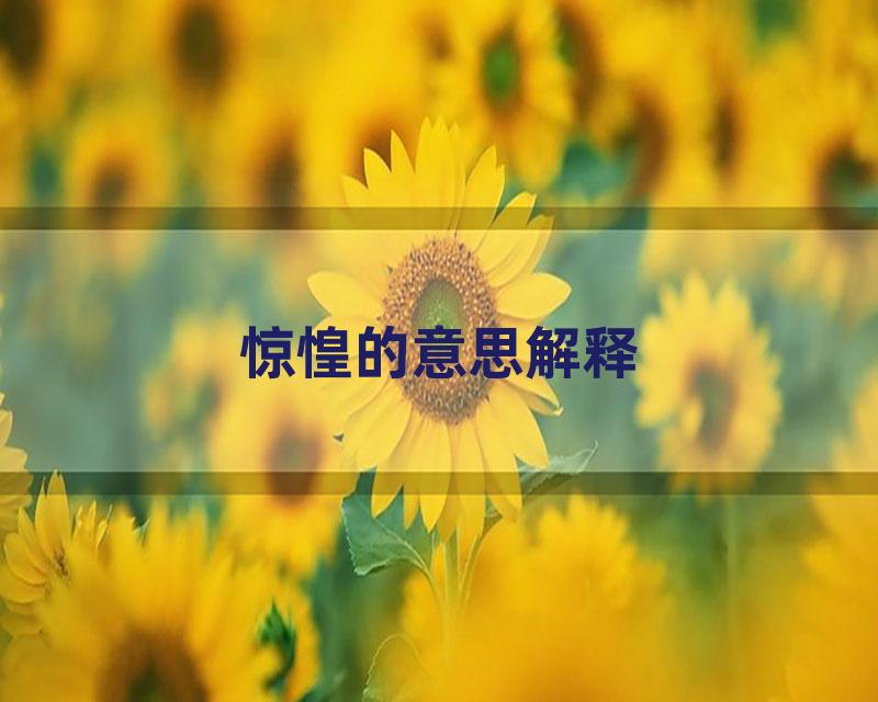 惊惶的意思解释