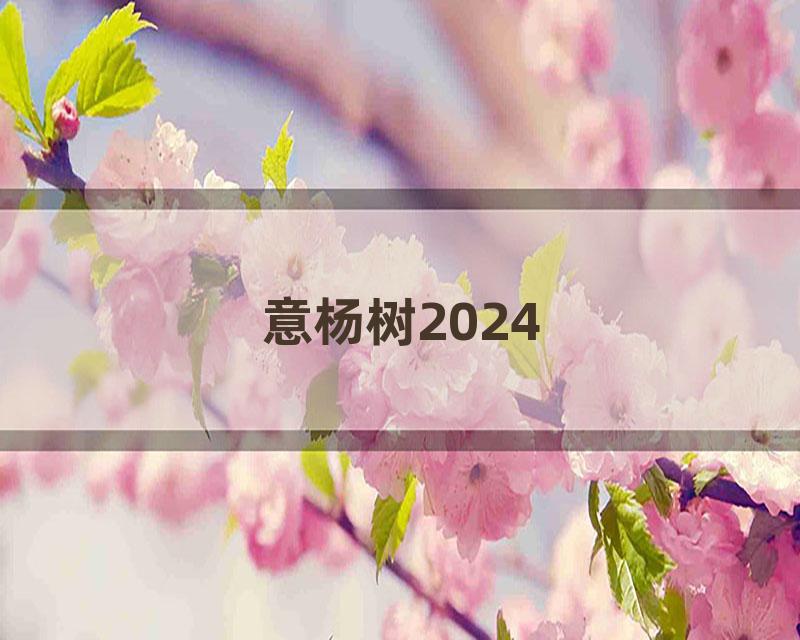 意杨树2024