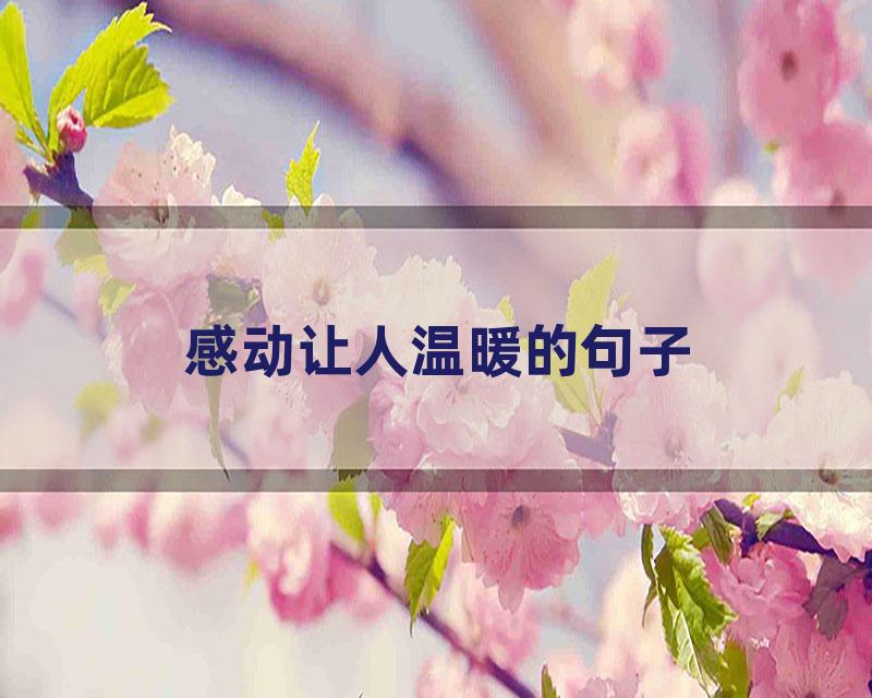 感动让人温暖的句子