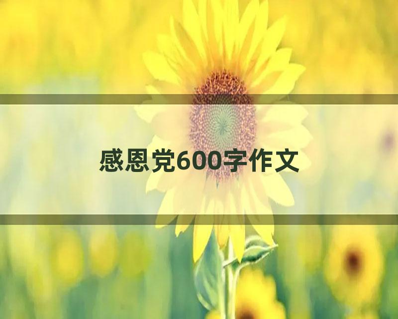 感恩党600字作文