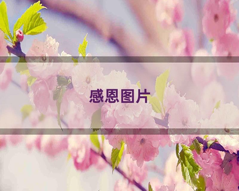 感恩图片