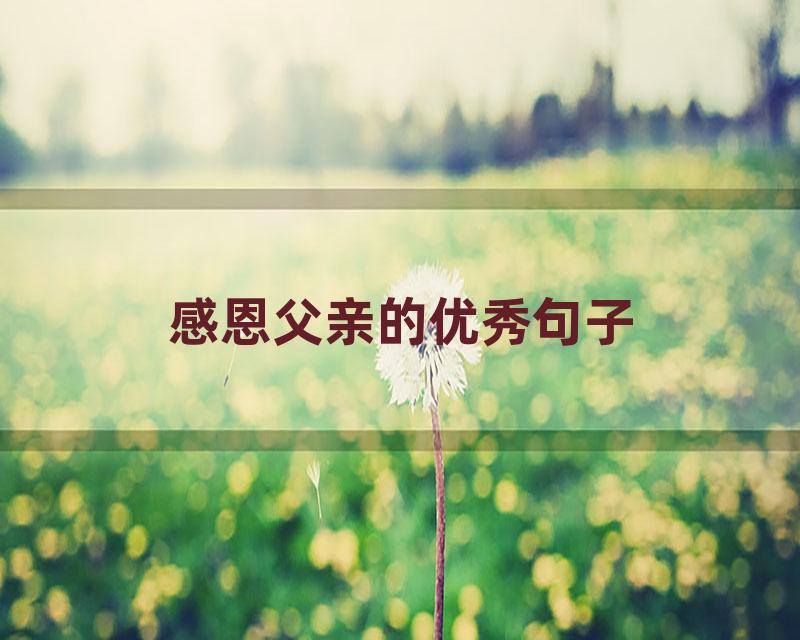 感恩父亲的优秀句子