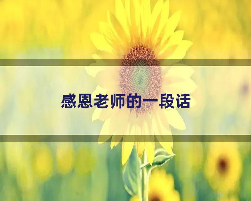 感恩老师的一段话