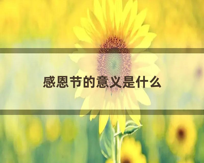 感恩节的意义是什么