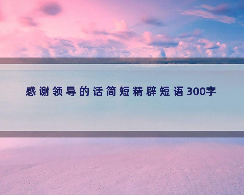 感谢领导的话简短精辟短语300字