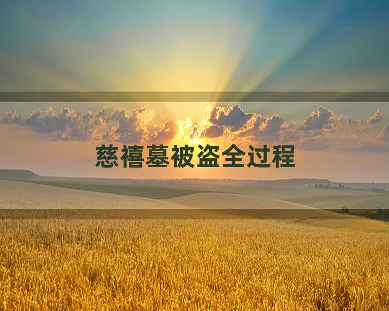 慈禧墓被盗全过程