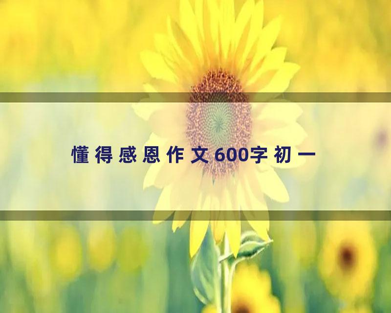 懂得感恩作文600字初一