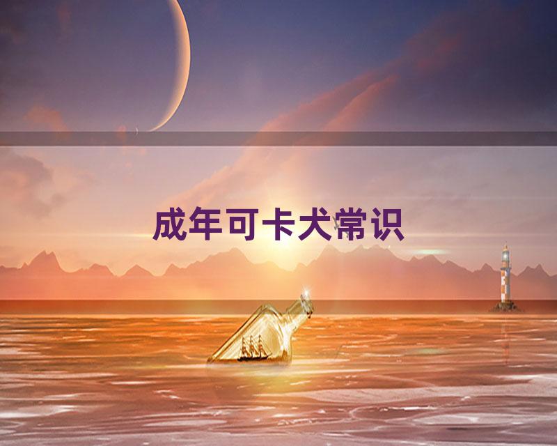 成年可卡犬常识