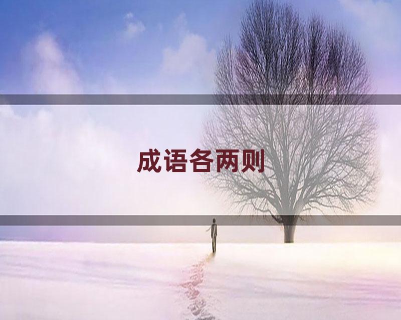 成语各两则
