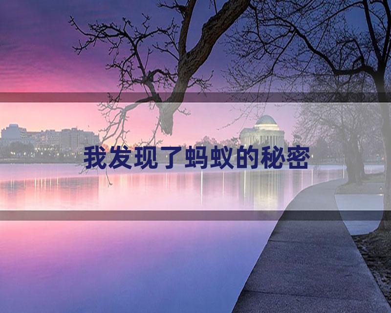 我发现了蚂蚁的秘密