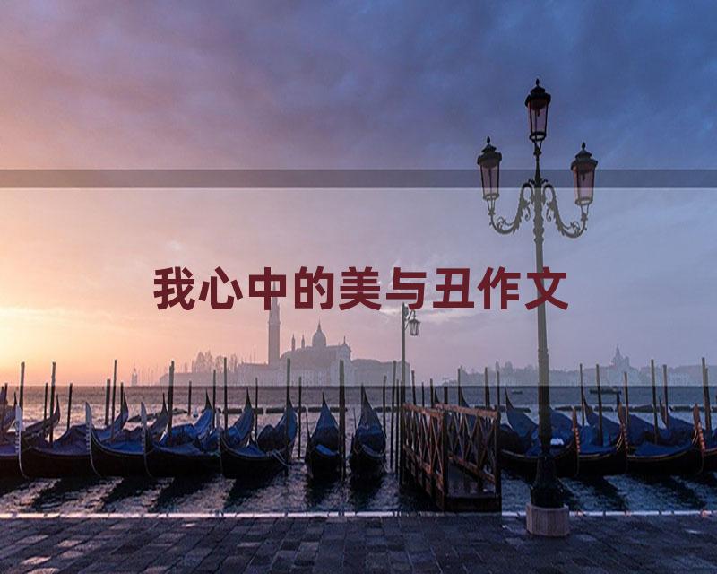 我心中的美与丑作文