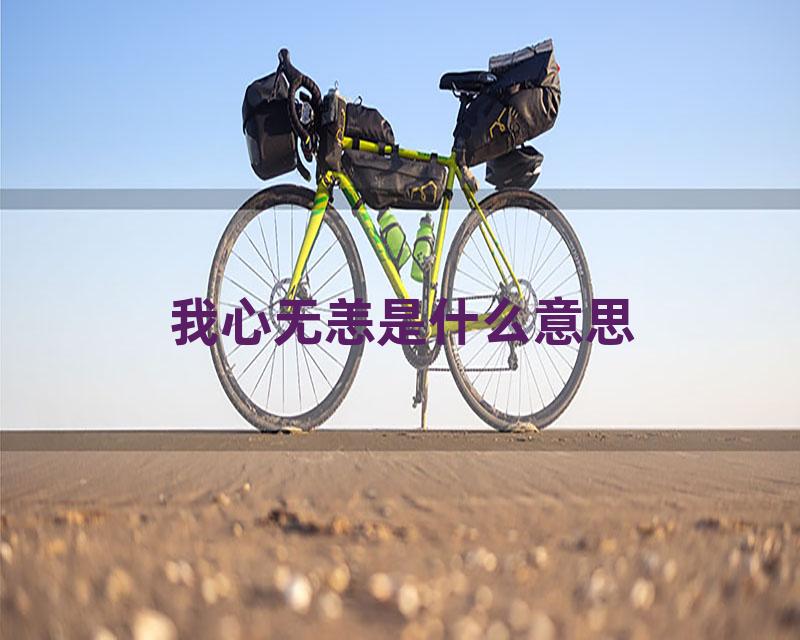 我心无恙是什么意思