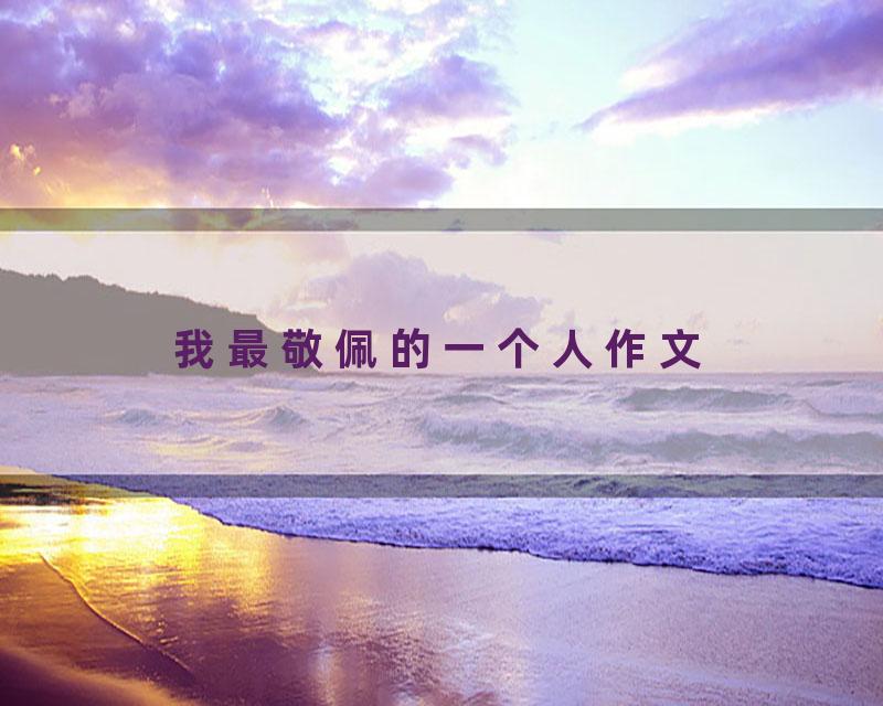 我最敬佩的一个人作文