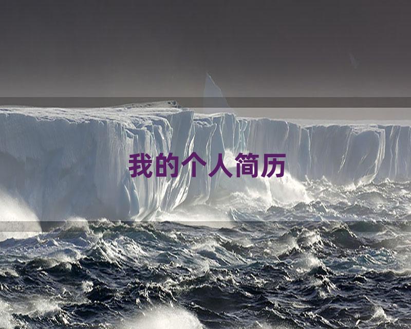 我的个人简历