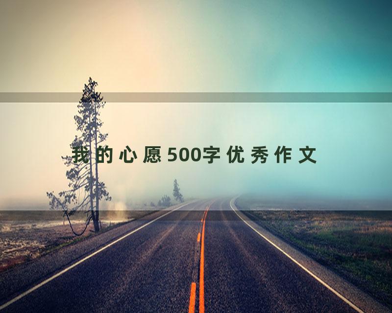 我的心愿500字优秀作文