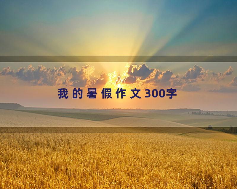 我的暑假作文300字