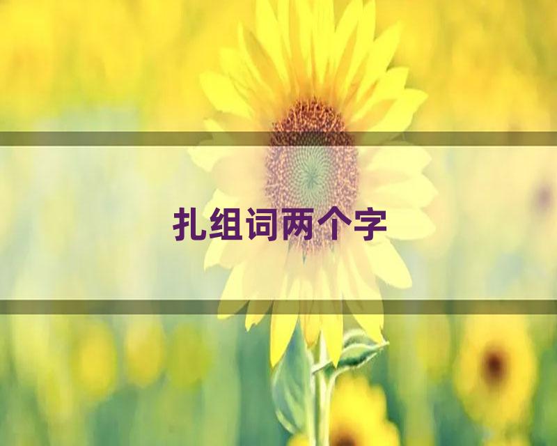 扎组词两个字