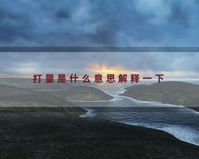 打量是什么意思解释一下