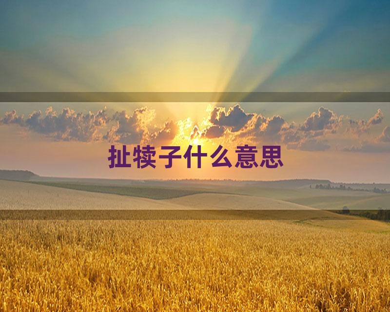 扯犊子什么意思