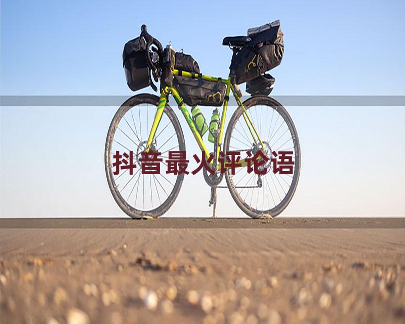 抖音最火评论语