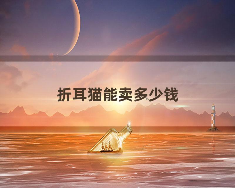 折耳猫能卖多少钱