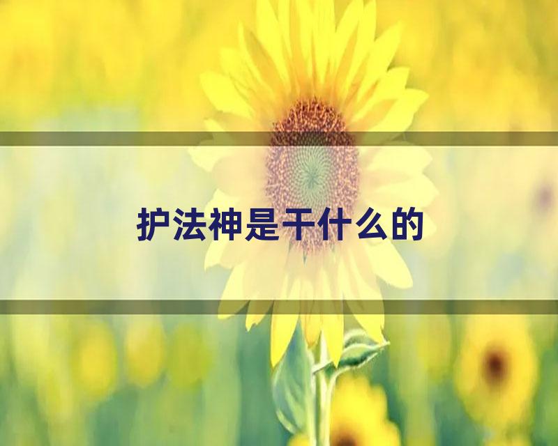 护法神是干什么的