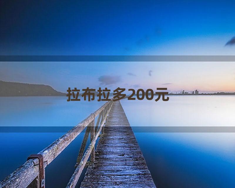 拉布拉多200元