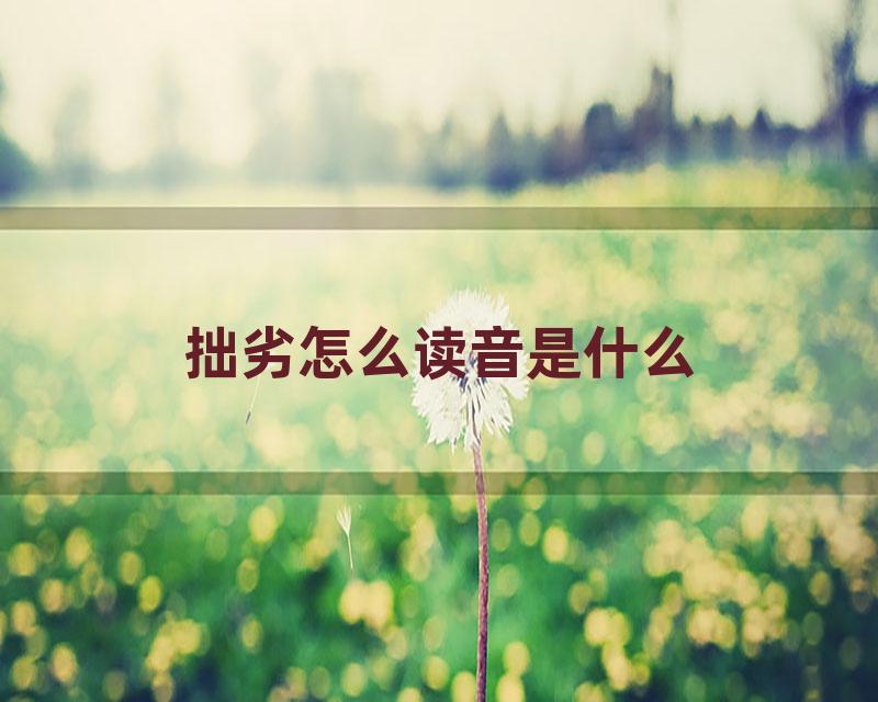 拙劣怎么读音是什么