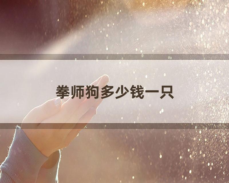 拳师狗多少钱一只