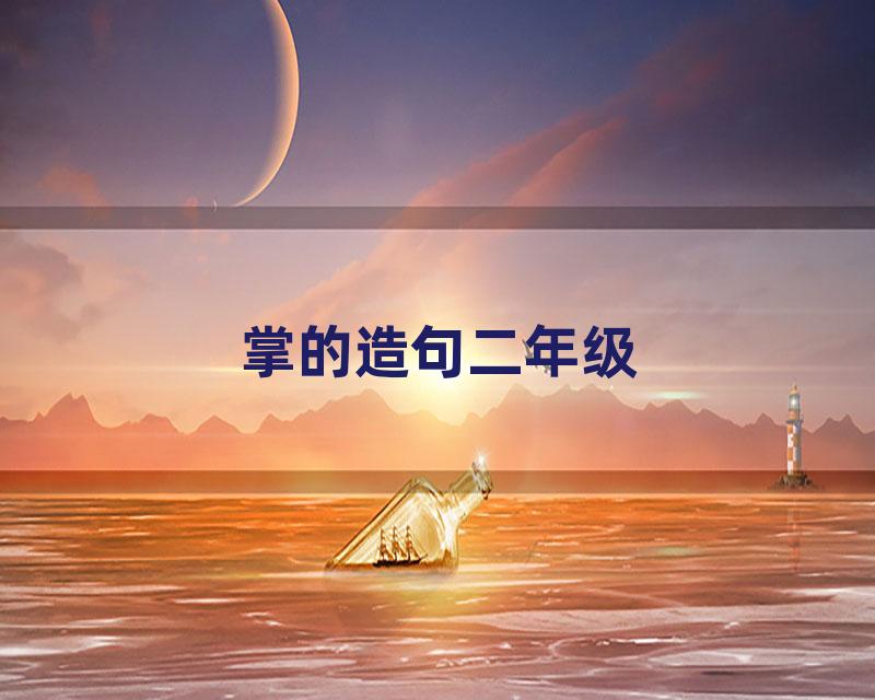 掌的造句二年级