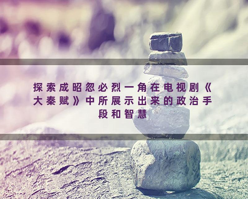 探索成昭忽必烈一角在电视剧《大秦赋》中所展示出来的政治手段和智慧