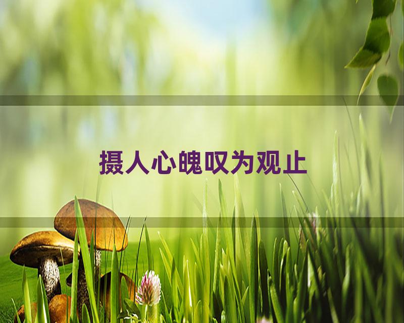 摄人心魄叹为观止